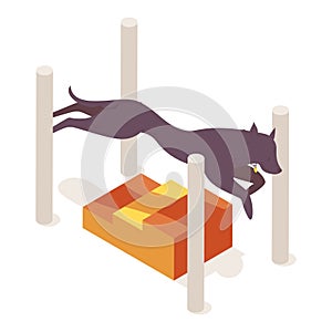 Long body dog hops over the long jump agility equipment. Vector isometric illustration isolated on white