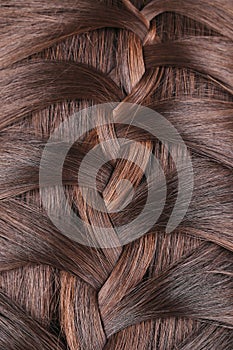 Long Brown Hair Braid. Back View.