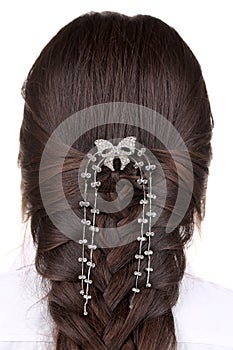 Long Brown Hair Braid. Back View.