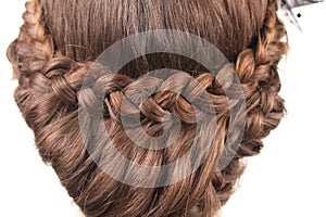 Long Brown Hair Braid. Back View.