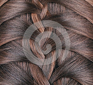 Long Brown Hair Braid. Back View.