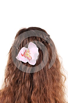 Long Brown Hair Braid with flower.