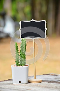 Long cactus with black blank wooden sign