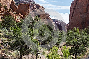 Long Canyon on the Burr Trail photo