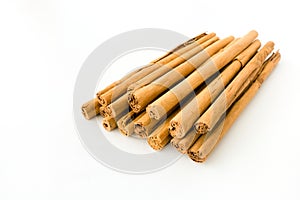 Long Ceylon Cinnamon Sticks isolated on White Background