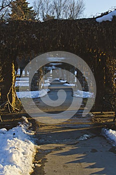 The cold walkway in the city park