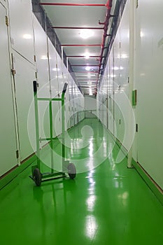 Long corridor, green floor and cart, self-storage facilities interior