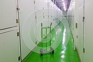 Long corridor, green floor and cart, self-storage facilities interior