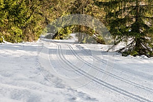 Long country trails for skiing in the bavarian forest, Bavaria, Germany