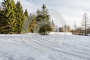 Long country trails for skiing in the Bavarian forest, Bavaria, Germany