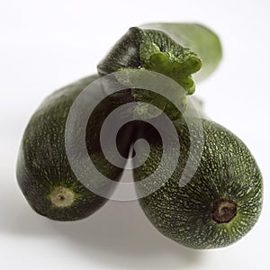 Long Courgette or Zucchini, cucurbita pepo, Vegetables against White Background