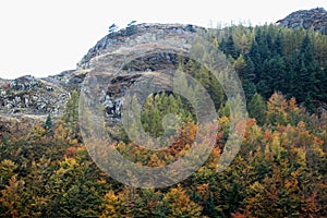 Autumn Colours and Long Crag, Lake District, Cumbria, England, UK