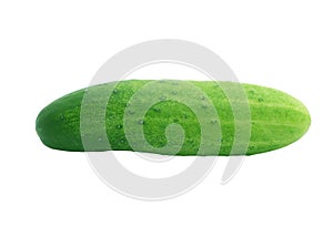 Long cucumber