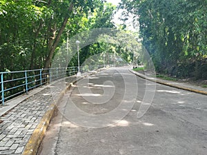 Long curve road to family park