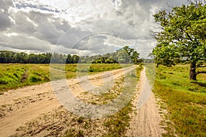 Long curved sand path through a Dutch natural area