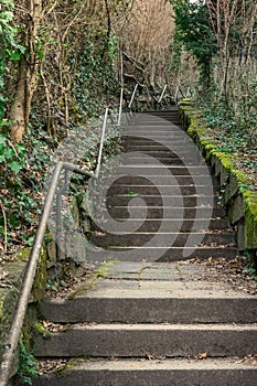Long Curving Alley Staircase Outdoors Plants Tight Steep Handrail Blauer Weg Stuttgart