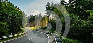 Long Curvy Forest Road In Alpine Mountains