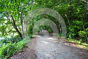 A long dirt footpath in the forest near a lake with people walking along the path surrounded by lush green trees and plants