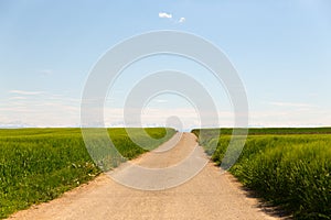 Long dirt road through fields