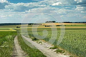 Long road through fields, copses in the hills and a cloudy sky