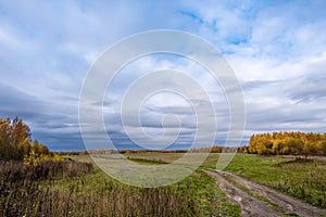 A long dirt road in a large field on a cloudy autumn day