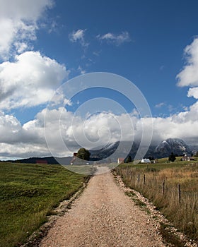 Long dirt road leading to a rural farm under a cloudy sky background