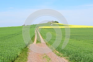 long dirt road up the hill to a white chapel in the grain fields