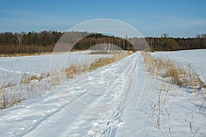 Long dirt road in winter