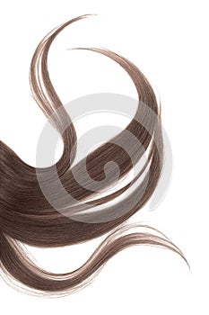 Long disheveled brown chocolate hair, isolated on white background