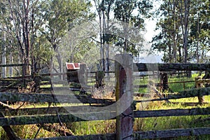 Abandoned Stockyards photo