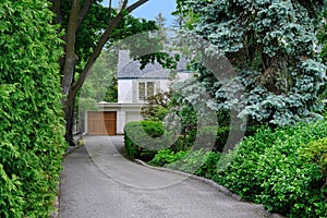 Long driveway leading to house secluded