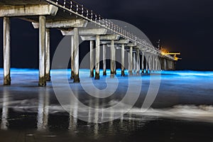 Long exposure of Beautiful Blue Bioluminescence at Scripps Pier in San Diego, California photo