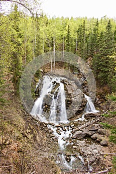 Smooth Waterfall in a Dense Forest