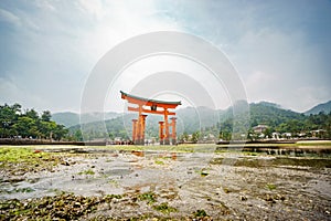 Long exposure bottom view in Miyajima, Floating Torii gate, low tide, Japan.