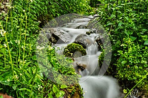 Long Exposure of Creek in Colorado Mountains