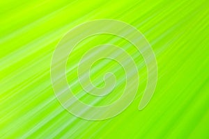 Long exposure effect of green fan palm leaf on blurred motion background
