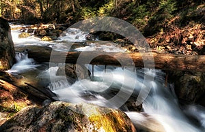 Long exposure of flowing water in stream in forest