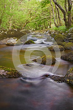 Long exposure gives silky glow on water of the river, Ireland