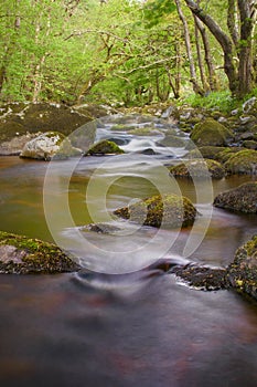 Long exposure gives silky glow on water of the river, Ireland photo