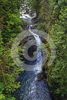 Long exposure of the iconic Norvan Falls at Lynn Canyon Park in North Vancouver, British Columbia photo