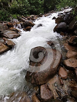 Long exposure of the ikizdere River looks like Milk between Brown rocks and green nature. capture looks like Milk and chocolate. .