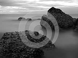 Long exposure image of closeup rocks in the ocea with some shell covering the entire surface