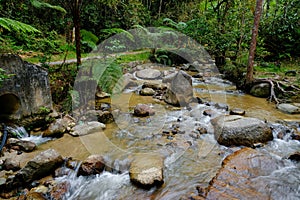 Cascada en colina, Malasia 