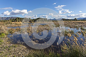 Long exposure landscape in the marsh of Gaianes with clouds photo