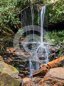 Long-exposure of a little waterfall in the middle of a rain forest