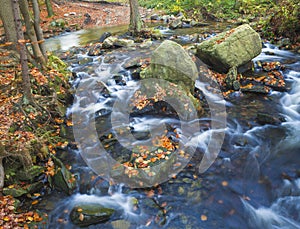 Long exposure magic forest stream creek in autumn with stones mo