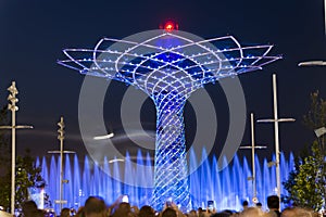 Long exposure night photo of the beautiful light and water show from the Tree of Life