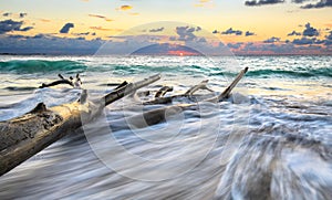 Waves crashing on driftwood at sunset, Costa Rica