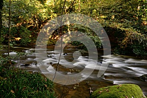 River Barle Tarr steps in Devon