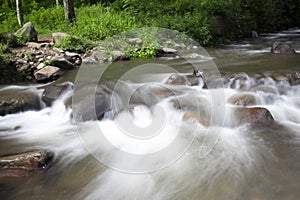 Long exposure river flow